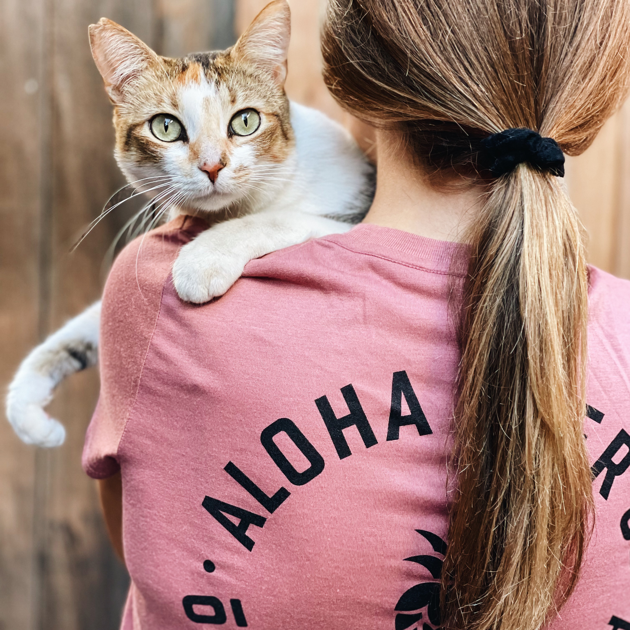 Aloha Beer Cropped Tee